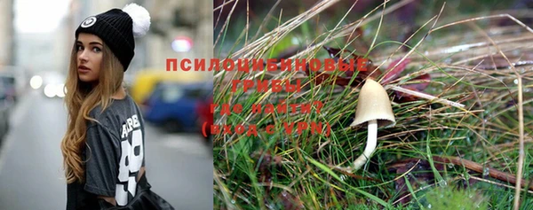 гидра Абдулино