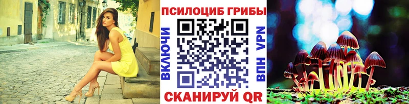 omg ссылка  Орск  Псилоцибиновые грибы ЛСД 